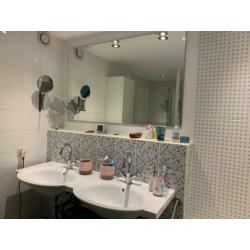 Badkamer meubels