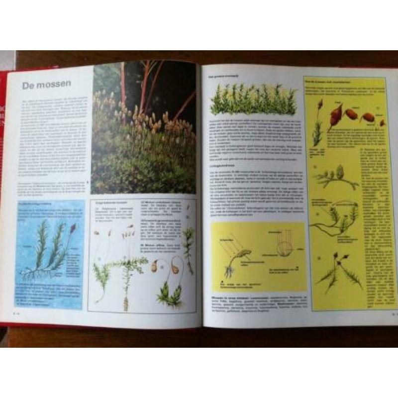 "Bomen, Bloemen en Planten" Gebonden 192 blz. Nieuw