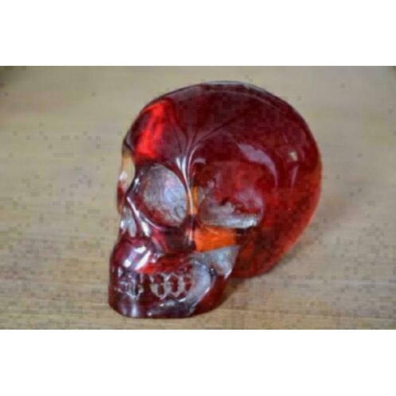 Amber schedel (538 gram)