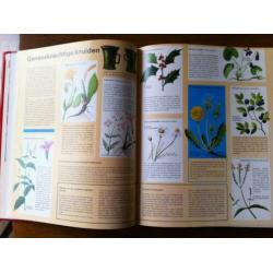 "Bomen, Bloemen en Planten" Gebonden 192 blz. Nieuw