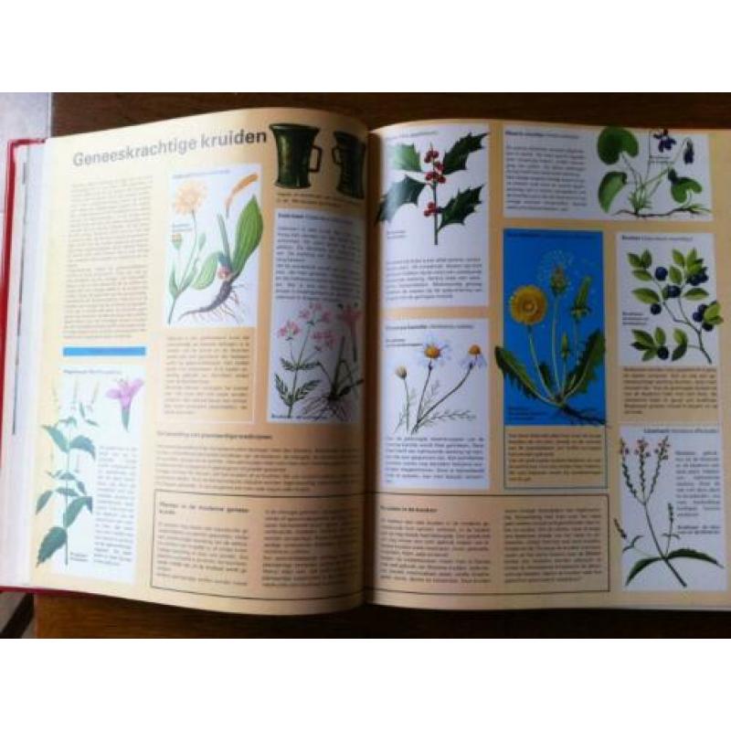 "Bomen, Bloemen en Planten" Gebonden 192 blz. Nieuw