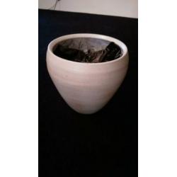 Grote bloempot