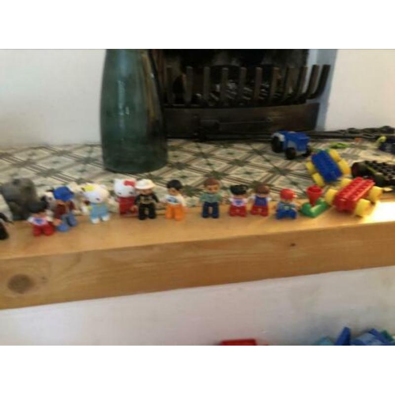 Echt heel veel Duplo
