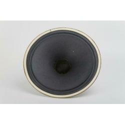 Te Koop: 2 stuks 12 inch Gitaarluidsprekers