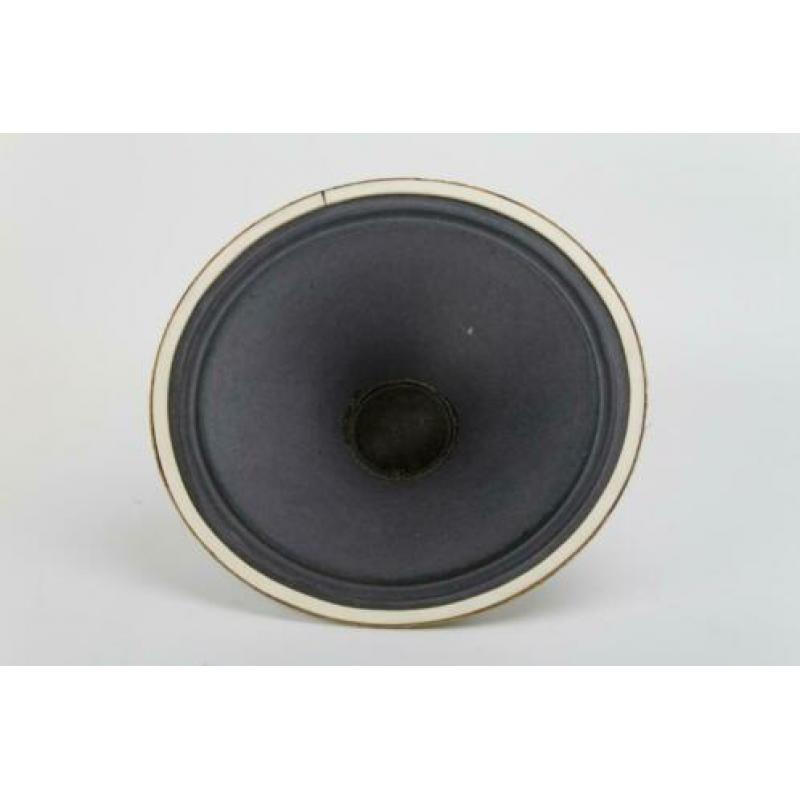 Te Koop: 2 stuks 12 inch Gitaarluidsprekers