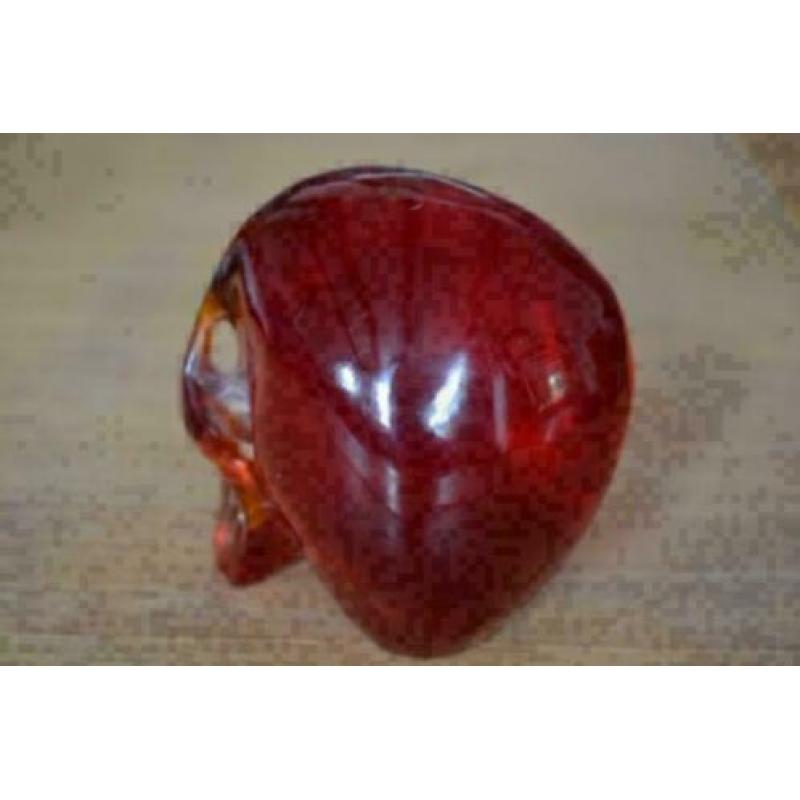 Amber schedel (538 gram)