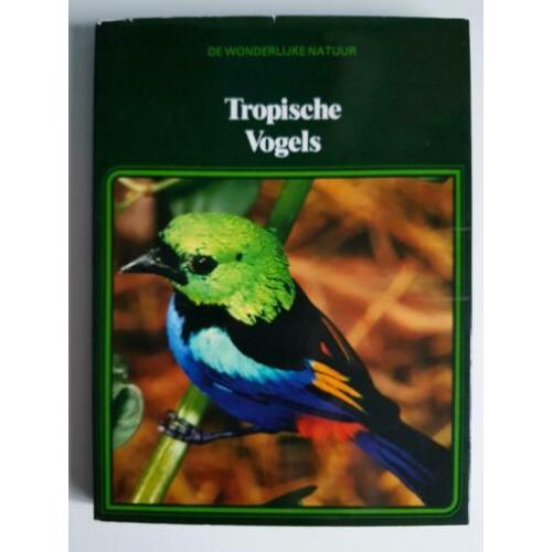 Lekturama, de wonderlijke natuur, tropische vogels