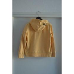 Sportieve hooded zachtoranje sweater van Geddes and Gillmore