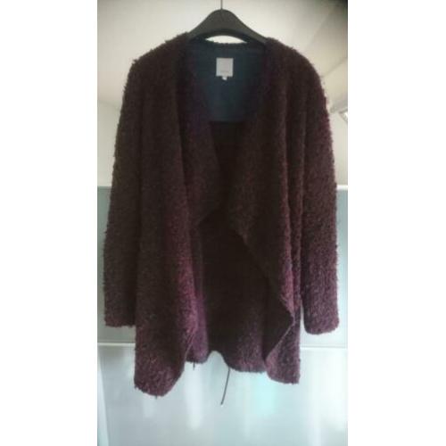 Kocca vest (bordeauxrood/blauw)