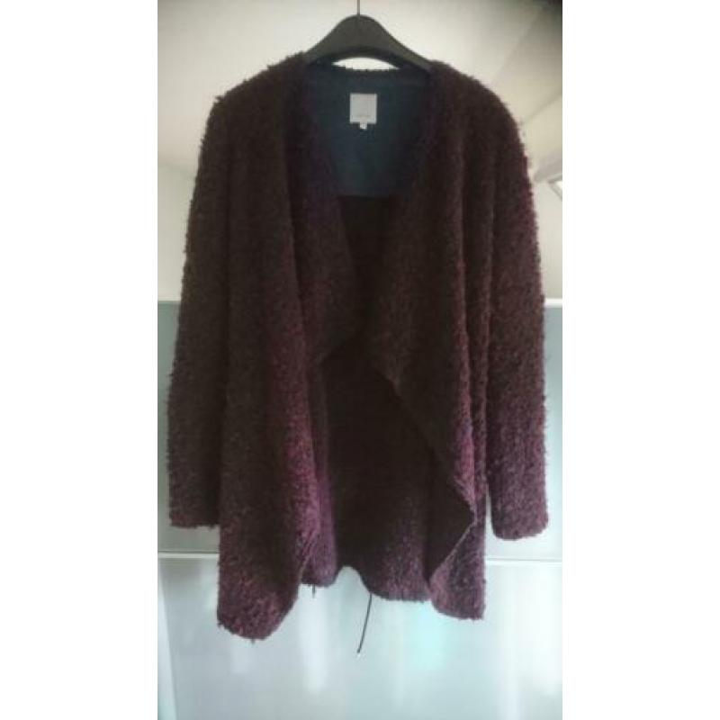 Kocca vest (bordeauxrood/blauw)