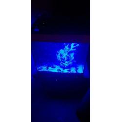 Juwel Lido 120 led compleet