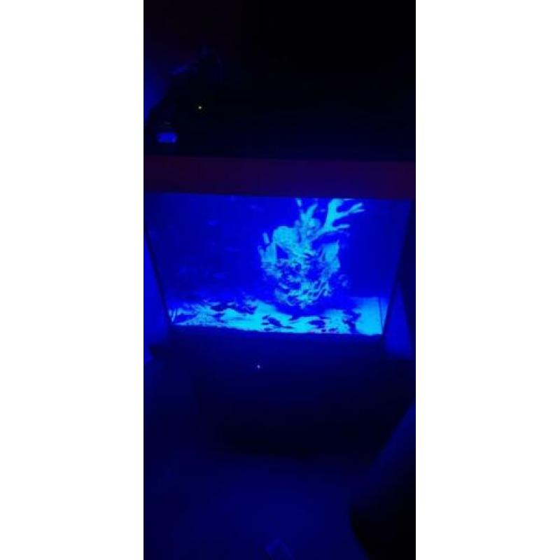 Juwel Lido 120 led compleet