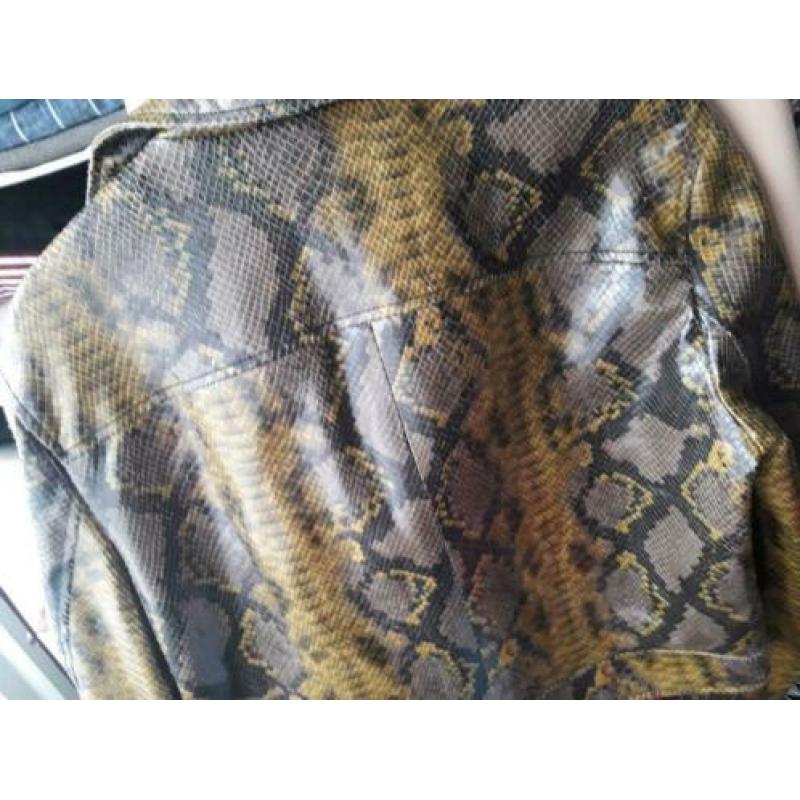 Stoere jack Zara (slangenprint) maat M