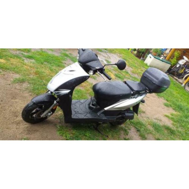Gezoht scooters voor export!!!