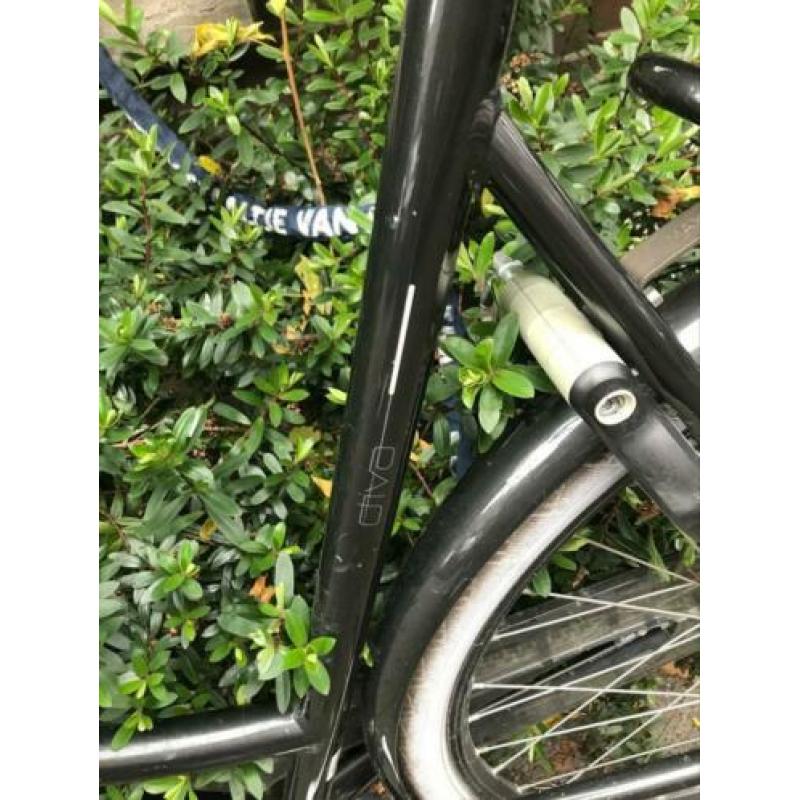 Mooie Batavus Diva Damesfiets framemaat 58 cm