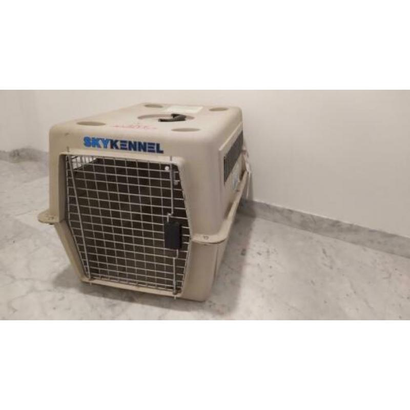 Dieren transport reis kennel hond kat konijn etc
