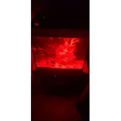 Juwel Lido 120 led compleet