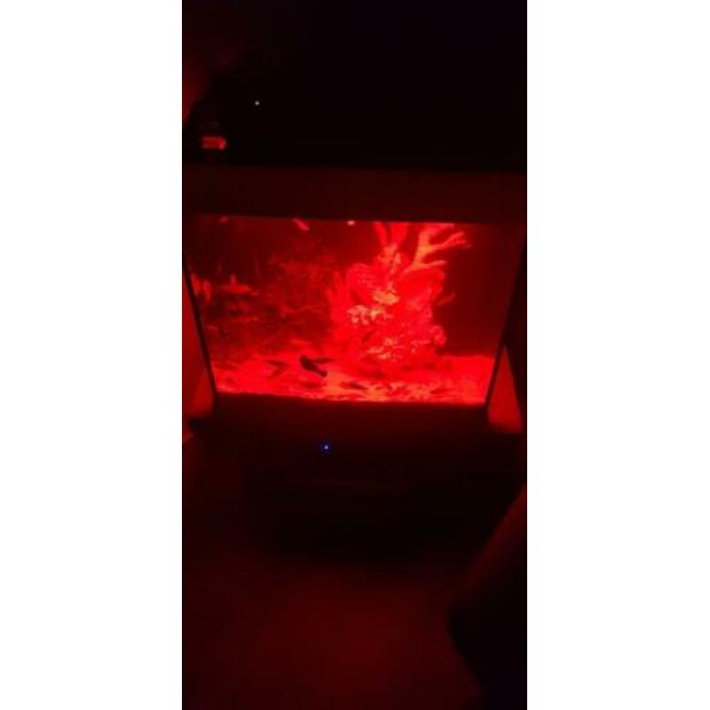Juwel Lido 120 led compleet