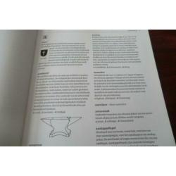 boek - Het zilver lexicon - Janjaap Luijt