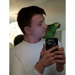 Tammer sprekende Amazone