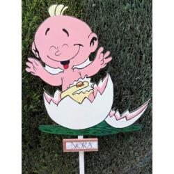 geboortebord baby in rode sportauto geweldige keuze.