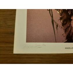 Angelus S&N Limited Edition Print 4/350