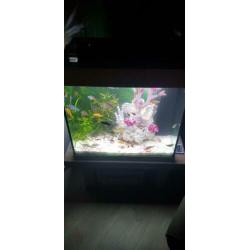 Juwel Lido 120 led compleet