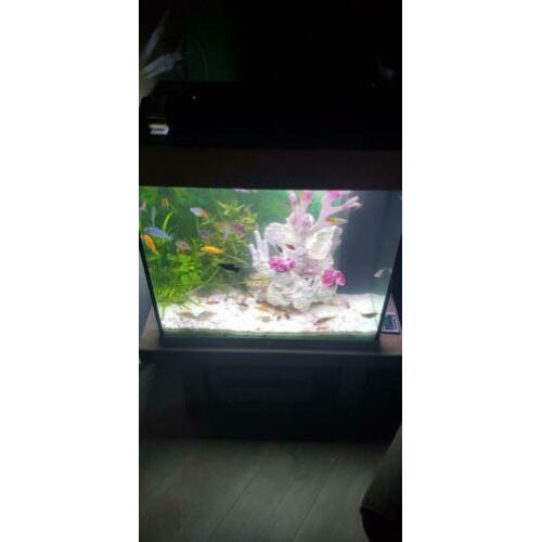 Juwel Lido 120 led compleet