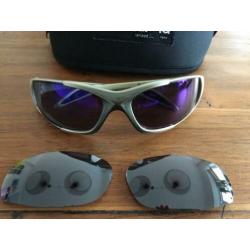 Polaroid skibril