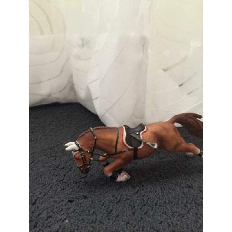 Springruiter + paard
