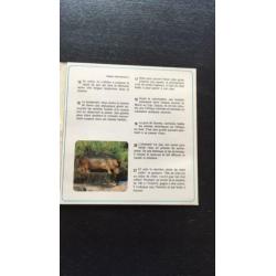 View master Safari in Kenya