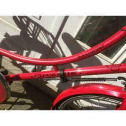 26 inch meisjesfiets Gazelle madelief met voordrager en mand