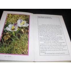 Geen Horoskoop maar een Floriskoop van de maand Februari.