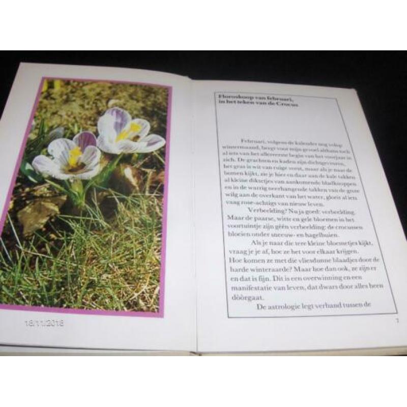 Geen Horoskoop maar een Floriskoop van de maand Februari.