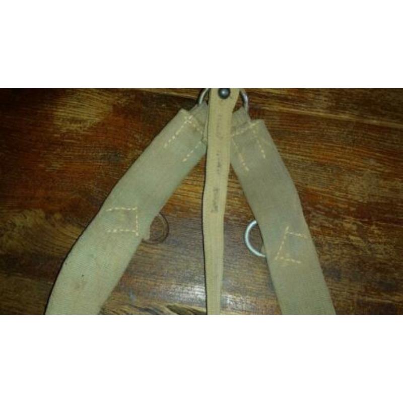 tropische Y riem