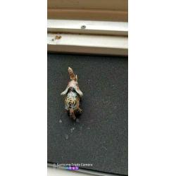 olifantje coisoné hand beschilderd