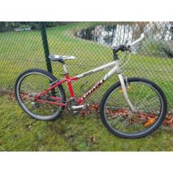 Giant mtb 24 inch