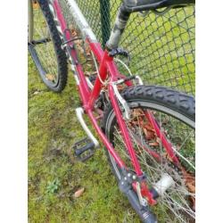 Giant mtb 24 inch
