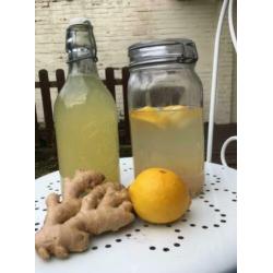 Waterkefir Super gezond & Super lekker