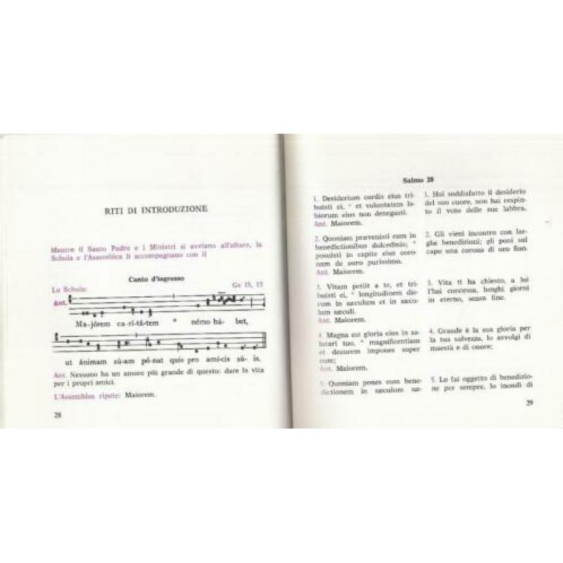 Titus Brandsma:ZALIGVERKLARING Basilica Vaticana- 3 nov.1985