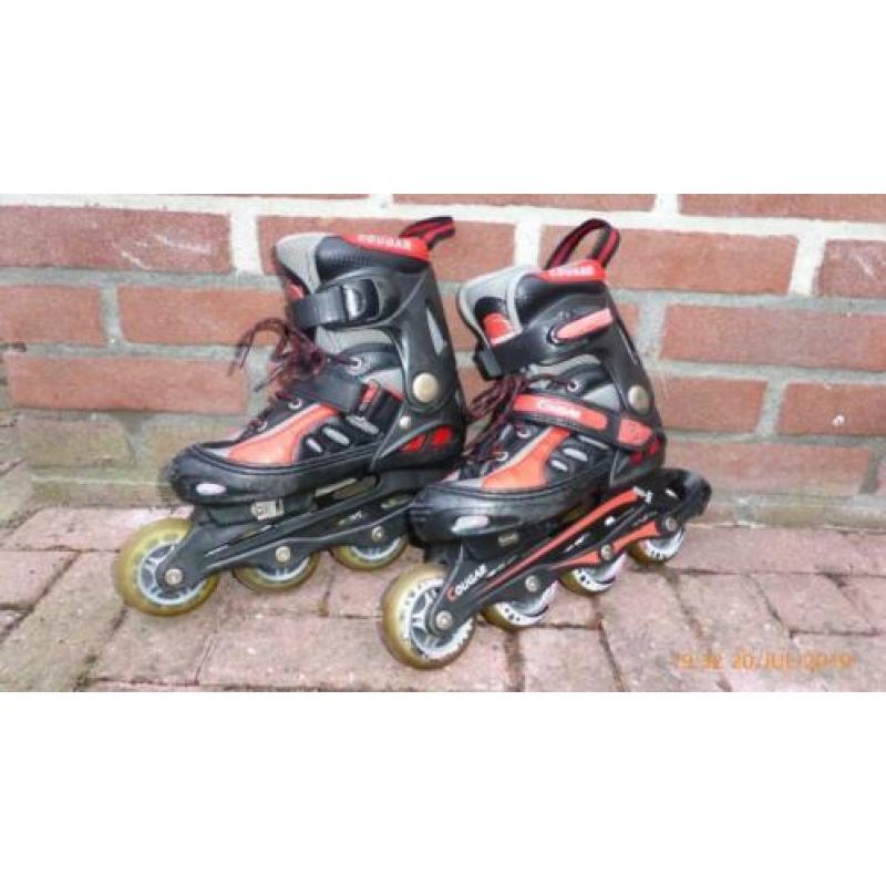 Skeelers, Cougar (maat 32-35)
