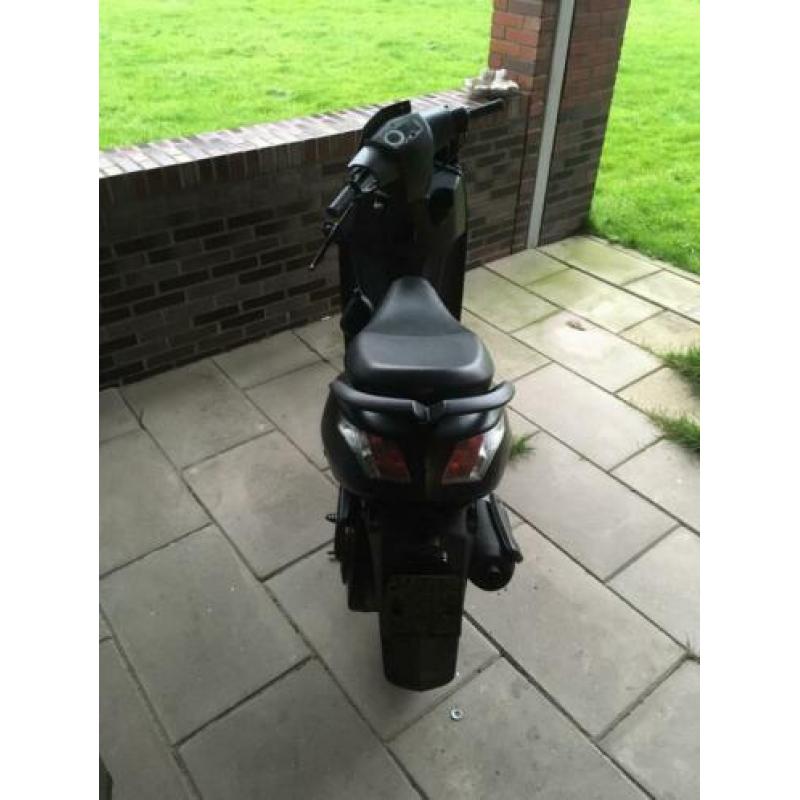 Vivacity 3 snor blauw kenteken opknapper
