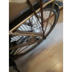 Goede elektrische fiets trek 500t