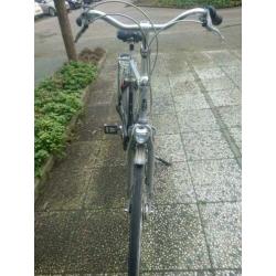 Gazelle Davos 61cm