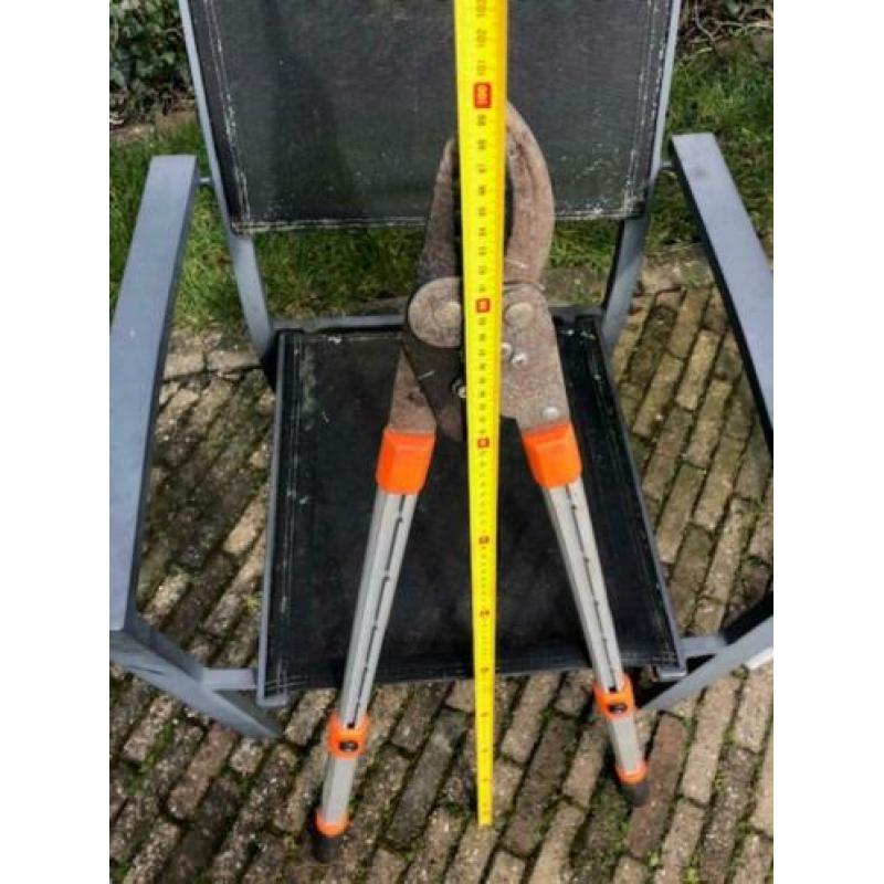 Takkenschaar