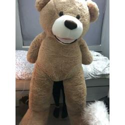 Grote teddybeer