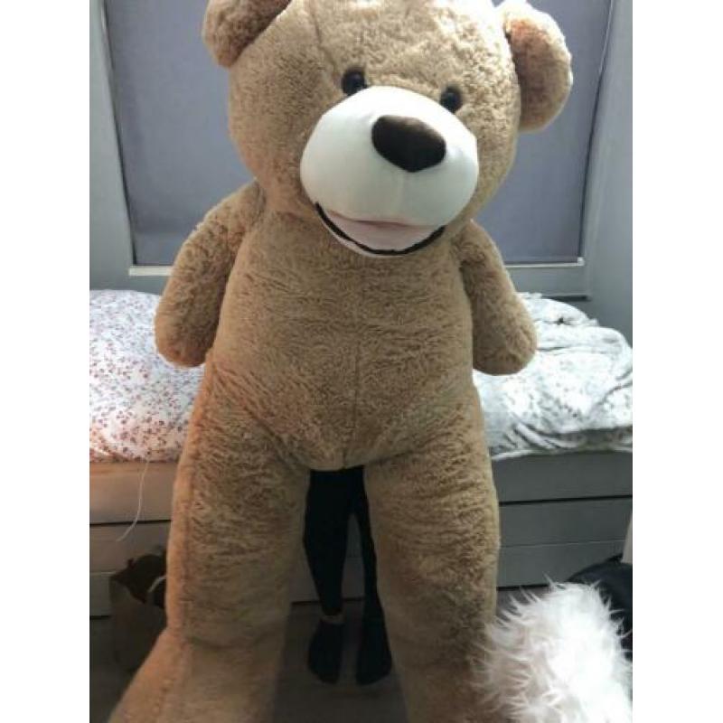 Grote teddybeer
