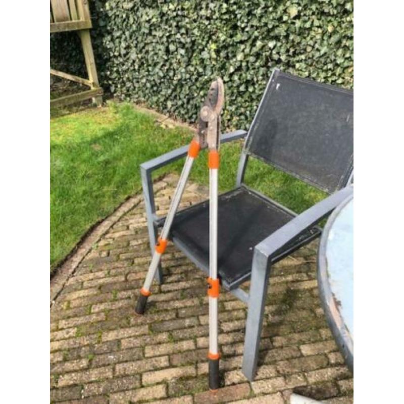 Takkenschaar