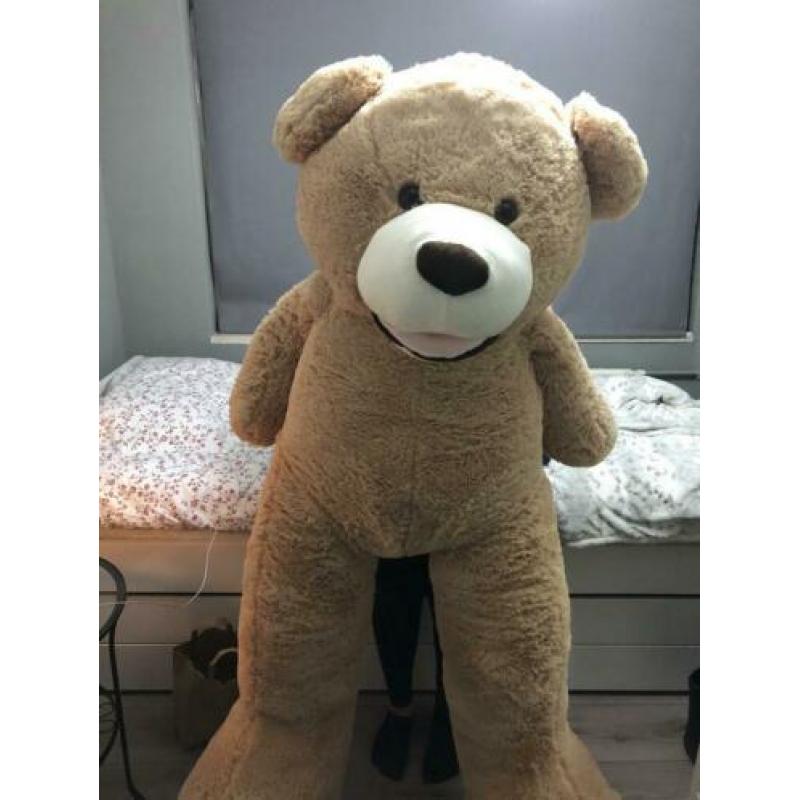 Grote teddybeer