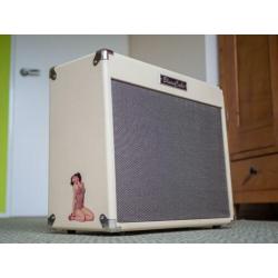 Roland Blues Cube Stage 60 W versterker + Roqsolid hoes